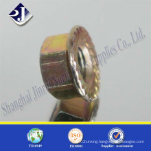 Screw Hex Flange Nut DIN6923